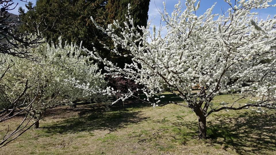 Hotel De Montana Estancia Nina Paula Nono Kültér fotó
